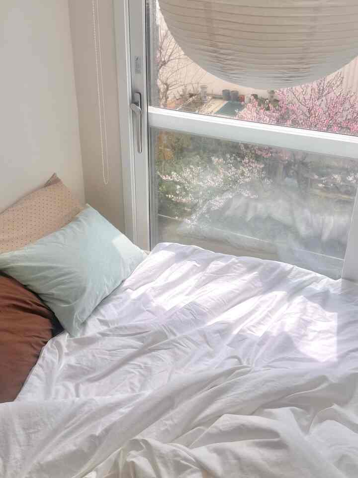 ＃コンスープ記録集＃賢明な消費 
寝室に大きな漢紙などをつけたかったのですが、ぜひピン+LED電球の組み合わせで解決しました🤍 軽い素材だから落ちる心配もなく、電気線なしですっきりしてもっと好きです！
窓の外桃の花と丸い漢紙などがぜひ一幅の絵のようなのでどんどんベッドに横になりたくなる最近です 🌸



＃今日の家＃家屋＃ランソンハウス＃家屋ギフト＃小さな部屋飾り＃小さな家飾り＃ワンルームインテリア＃ツルームインテリア＃オフィスステル飾り＃ホワイトウッドインテリア＃ナチュラルインテリア＃ウッドインテリア＃寝室のインテリア 