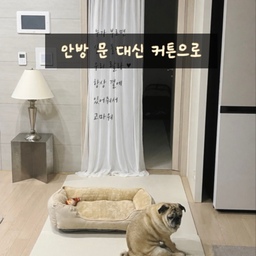 #인테리어노하우 2 #콘수프기록집 
🏷️ 안방 문 대신 커튼으로 해결한 이유
저희 집은 안방 문을 항상 열어두고 생활해요.
문을 닫아두면 랄라가 계속 열어달라고 하고
열어두면 안방이 그대로 보여서 살짝 부담스럽더라구요.
그래서 선택한 방법이 압축봉 + 시스루 커튼이에요.
✨ 이렇게 해결했어요
✔ 문 대신 압축봉으로 간단하게 설치
✔ 시스루 소재로 답답함 없이 공간 분리
✔ 안방 내부는 은은하게 가려지고
✔ 랄라는 불편 없이 자유롭게 통행 가능
문처럼 완전히 막히진 않지만
생활감은 가려주고 분위기는 더 살려주는 느낌이에요.
특히 반려견 키우는 집이라면
문 여닫기 스트레스 줄이기에 진짜 좋은 방법이라 추천드려요 🐶
#오늘의집 #소형집인테리어 #집꾸미기 #공간분리
#커튼인테리어 #시스루커튼 #압축봉커튼 #셀프인테리어 #반려견인테리어 #펫인테리어 #강아지집 #압축봉커튼 #집스타그램 #미니멀인테리어 #유럽감성인테리어 #반려견과사는집 #반려견매트 #반려견용품 #집사일기 