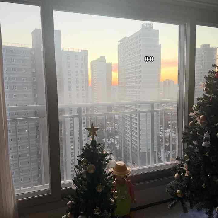 #뷰가좋은우리집
私たちの家は夕焼けレストランです。
森ビューナ
漢江ビュー
そうではありません。
本当に幸せな家です。  #트리가리개 #플레이모빌xxl #플레이모빌 #플레이모빌정원사 