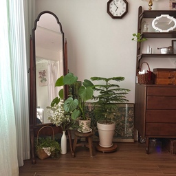 여백의 미 살린 식물존🌿
거실 벽에 숨쉴 공간을 주기 위해 수납장이랑 거울 사이 간격을 좀 벌려주었어요. 소파 쪽 벽이 이것저것 디테일이 많아서 맞은편 식물존 벽은 좀 비워두고 싶더라구요. 맥시멀리스트에 가깝긴 하지만 그래도 여백의 미가 어느 정도 있어야 마음이 편해지는 사람인가봐요☺️
와글와글 빈티지를 추구하지만 저렇게 벽 한 곳만이라도 비워두면 나름 깔끔하게 꾸밀 수 있는 것 같아요😆
#콘수프기록집 #인테리어노하우 #플랜테리어 #원목인테리어 #우드인테리어 #앤틱거울 #원목수납장 #원목선반장 #로맨틱캬바레 #커튼인테리어 #러그인테리어 #러그맛집 #빈티지커튼 #원목장식장 #빈티지인테리어 #월넛인테리어 #맥시멀리스트 #거실인테리어 #거실 #투룸인테리어 #투룸거실 #취미는가구배치