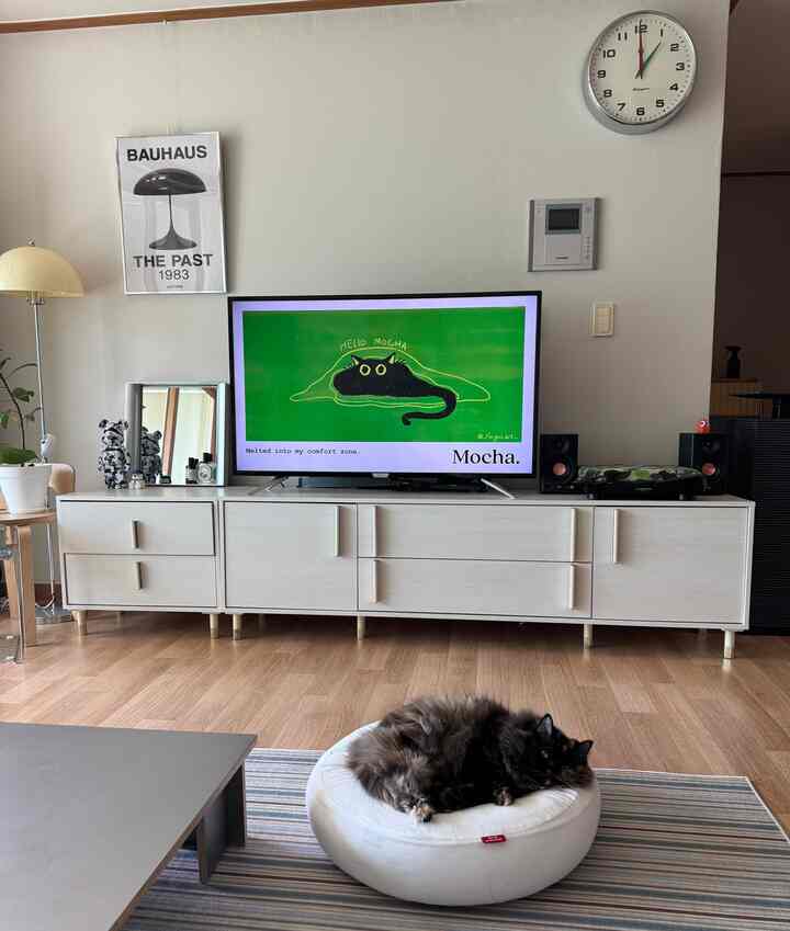 白を基調としたリビング、ミッドセンチュリーモダンのテレビ台とテレビ、床に寝そべる黒猫がいる雰囲気のあるインテリア