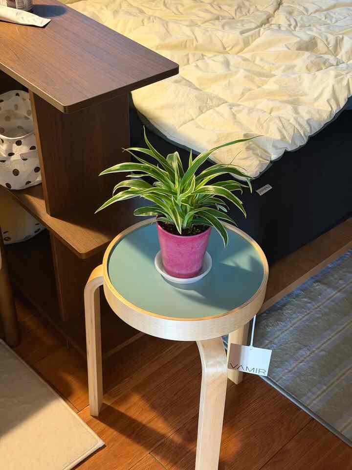 木目調と白を基調としたコンパクトな寝室、ダイニングチェアとスツールの上に緑の植物が配置された温かみのある空間