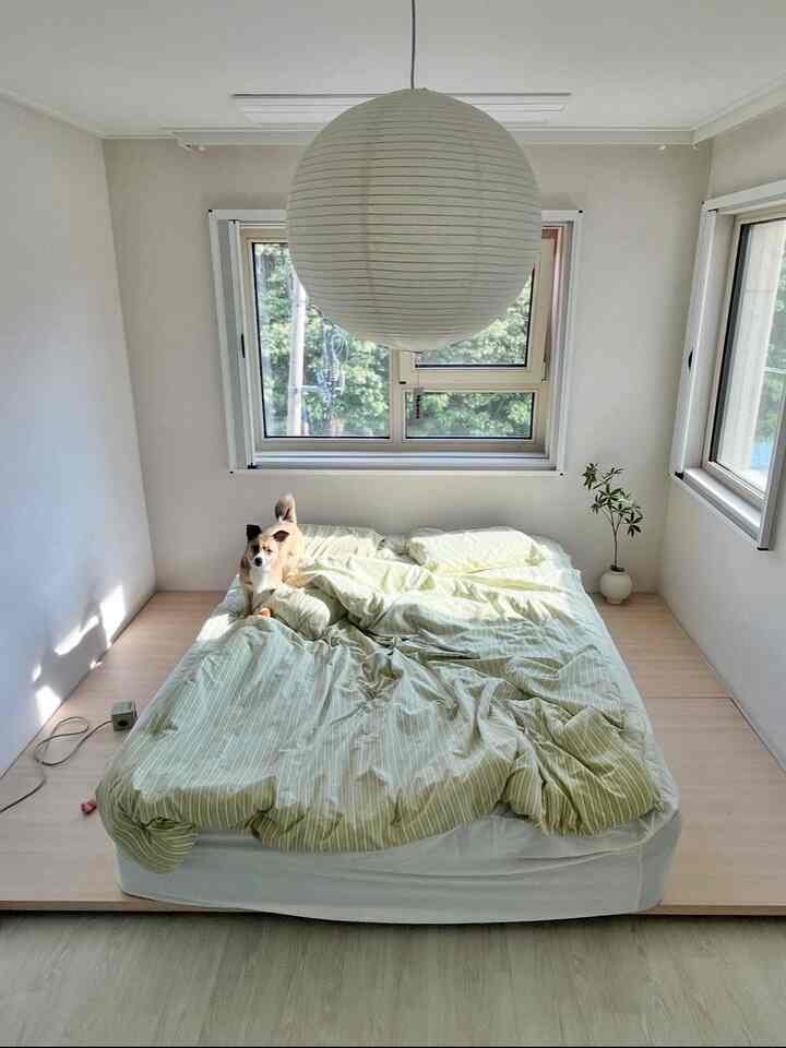 Bright white and natural-toned bedroom featuring green bedding centered on the bed with a dog, creating a cozy space