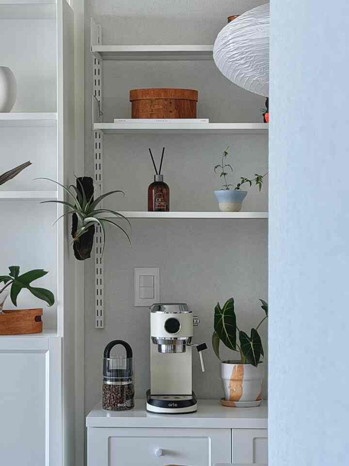 植物でもう少し落ち着いたホームカフェゾン☕️
コーヒー欲がもう少しできて、最近コーヒーグラインダーを買うかどうか悩んでいます。 

確かに装備が増えるほど楽しくて美味しくなるホームカフェ.. 💸

＃ホームカフェゾーン飾り 