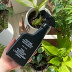 평소 탈취제에 관심이 많았었는데
이번에 피부피부_퍼퓸 피니쉬 탈취 스프레이 400ml 를 받았어요 ☺️

청소, 요리, 운동 끝낸 후에 칙 뿌리면 얼마나 좋게요~!

남편이 신발에 관심이 많아 항상 현관문 열면 신발 냄새가 났었는데 탈취 스프레이 한 번 칙 뿌리니 바로 쉰 내도 잡고 향이 은은하게 퍼져서 기분이 좋아지네요ㅎㅎ

미생물 효소가 냄새 분자를 분해하고 편백수랑 편백오일이 공기 정화를 한다하네요 😳
탈취력, 향균력이 뛰어나 쾌적하게 사용할 수 있어서 좋은 거 같아요 !

청소, 요리, 운동 뿐만 아니라 패브릭 가구, 소파, 커튼, 화장실, 신발, 옷 등 다양한 공간과 용도에 활용할 수 있어서 실용적이예요👍🏻

침구 정리하고 방 안에 뿌렸는데 지속력도 좋아요
탈취제도 향이 너무 강하면 머리 아프고 손이 안 가는데 은은하게 퍼지면서 향도 강하지 않아서 임산부인 저도 거부 반응이 없네요 😊

✔️강력한 탈취제 ✔️천연 탈취성분 ✔️99.9%향균
✔️겨울철 정전기 방지 ✔️섬유 이염 제로 ✔️올인원 ✔️피부 저자극 테스트
안 쓸 이유가 없는 탈취제🩷

#오감리뷰 프로그램을 통해 제품을 제공받아 직접 사용하고 스타일링한 후기입니다.