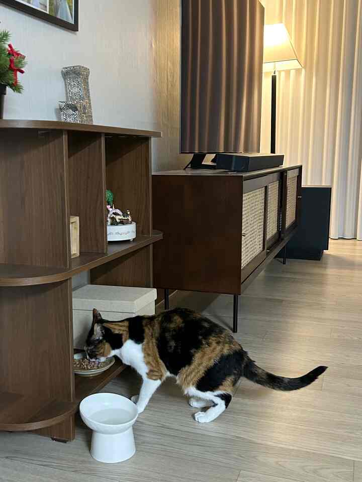 温かみのあるブラウン調のリビング、食器から食事をする猫と木製キャビネット、フロアランプが配置された雰囲気のあるインテリア