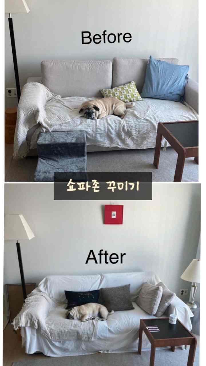 #인테리어노하우 2 #콘수프기록집 

✔️ショパゾンビポ＆アフター

引っ越してショパを一ヶ月間選んでやっと選んだ後…
前回家で使っていたクッション+布団で一時的に過ごしました。

それからショパカバーもかぶせて
クッションカバーも変えて
額縁でポイントもあげました:)

似ているようですが
もう少し私の心の中の追求味（何かは知らず漠然と頭の中にある）に近づいているようです！ 

ショパテーブルはまだ選べない 
以前の家はそのまま使用中です 

実際、ウィッシュシステムがありました。 
高すぎる🤣ㅠㅠ

みんなウィジェットで結局購入しますか
それとも、現実と妥協するのですか？  #쇼파추천 #쇼파추천 #20평대인테리어 #20평거실 #거실꾸미기 #거실 #거실쿠션 #쿠션 #쇼파테이블 #협탁   #조명 #거실조명 #분위기전환 #반려견과사는집 