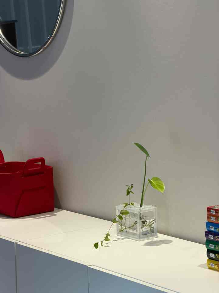 #ララ 

透明な小さなブロックボックスに水耕栽培植物を入れます。
見るだけでも癒しの部分..🌿🌱🤍

＃リビングライブラリ＃リビングライブラリ＃収納スペース＃ミラー＃ウォールミラー＃ミッドセンチュリー＃水耕栽培＃水耕栽培植物＃プランテリア