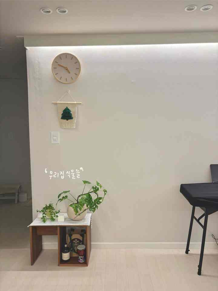 ＃かわいいテム 

立てた協議を横にした。 
もう一つの感じの棚になりました。
植物ゾーンにぴったり！ 🪴
 
もともとベッドの横にあり、
ソファの隣に置いて、（私たちの家のソファができました！！🛋️）
ソファがマットに変身したとき 
協力を取らなければならず、席を移しました。
フィルマット以上の便利なアイテムです。 

とにかく私が好きだから
植物の嵐が成長しています。
ヒメモンステラ・ブンガルがやって以来
いきなり新順が4つも뿅！出ましたね💚🌿

＃コンスープ記録集＃植民地日記＃ヒメモンステラ  