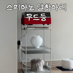 #조명탐구생활
이번에 소개할 무드등은 ‘스피아노 달항아리 무드등’인데요.
‘집에 달항아리 두면 복이 들어온다’는 말,
왠지 그냥 지나치기 아쉬워서 들였는데 볼수록 기분이 좋더라구요.
이런 감성 미신 너무 좋아합니다…✨(ㅋㅋㅋ)
모션 센서로 조도, 색온도 조절하는 재미도 있어요
#달항아리무드등 #무드등 #달항아리 #조명 #조명인테리어 #조명추천 #스피아노 #lp선반 #선반꾸미기