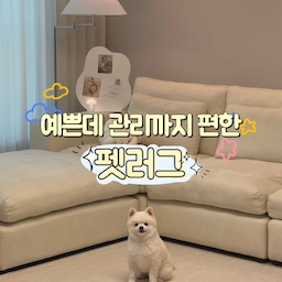 반려견과 함께 살아도 예쁜 거실 인테리어는 포기 못해서
예쁘고 관리 편한 펫러그를 찾아보다가 데이드리머 에어핏
펫러그를 알게되었어요. 색상부터 인테리어와 찰떡이라
마음에 쏙 들었는데, 논슬립 마감으로 미끄럼방지가 되어 있어 계단에서 점프하거나 우다다 뛰어다녀도 걱정 없어 좋았답니다. 
데이드리머 러그는 펫러그로 특화되어 있는 제품이라 먼지와 털이 잘 끼지 않아 돌돌이와 물티슈로 가볍게 청소 가능하고 통세탁도 가능해 관리가 편했는데요. 잦은 세탁에도 강한 내구성을 공식 인증 받은 제품이라 위생적으로 오래 사용 할 수 있을 것 같아요. 인테리어와도 잘 어울리고 휴지의 관절 건강도 챙길 수 있는 데이드리머 에어핏 펫러그 🐶🤎
예쁜 펫테리어 템으로 강력 추천드릴게요 ~ 🐾
#펫테리어 #거실인테리어 #펫러그 #거실펫러그
#예쁜템최고야 #콘수프기록집 #거실꾸미기 #맞팔
#반려견과사는집 #강아지와사는집 #맞팔환영 
