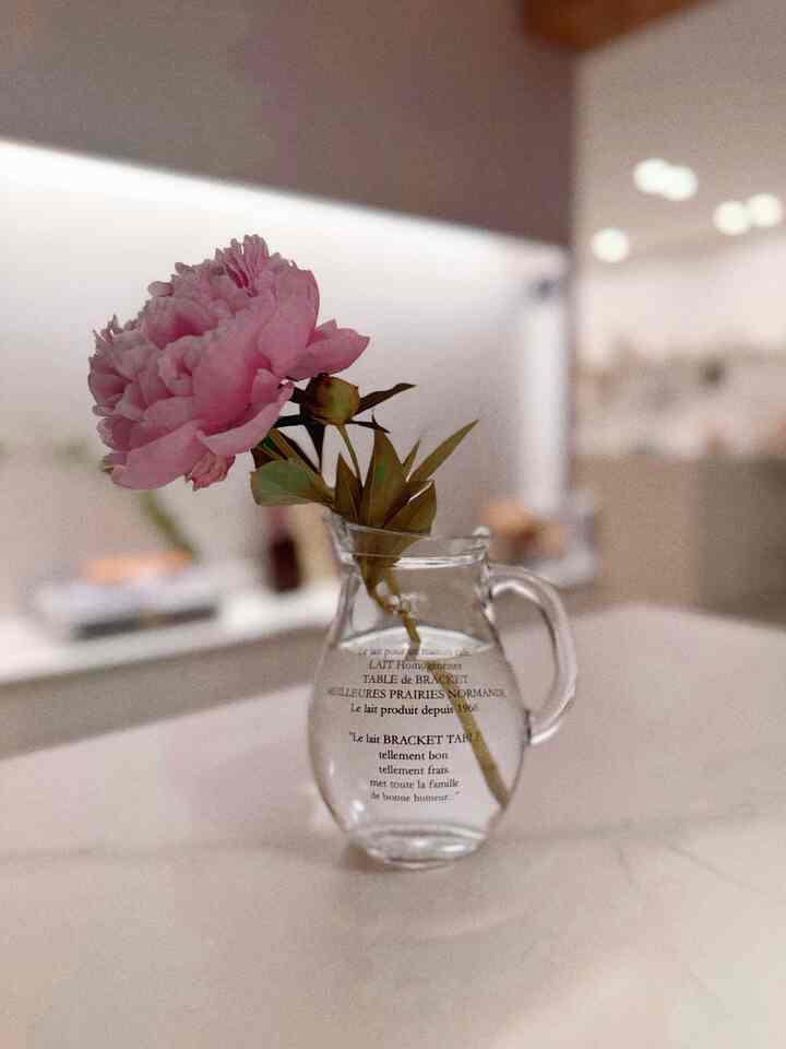  #꽃 #꽃인테리어 #꽃이있는집 #콘수프기록집 #맞팔환영 #맞팔해요 #인테리어 