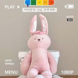 ꔛ
⠀
21개월 아기 배변훈련 시작했어요 .ᐟ
실제 변기랑 비슷해 놀이처럼 시작할 수 있는
🏷️ 마이사이즈 포티 프로 로 함께 하고 있답니다  ◡̎ 
⠀
어른 변기와 비슷하게 생겨서
모방하는 걸 좋아하는 아기가 관심갖기 쉽고
레버를 내리면 실제 변기랑 같은 소리가 나요 ♪
무겁거나 튼튼하지 않으면 쓰기 어려울 것 같은데
무게도 가볍고 흔들리지 않아 아기가 쓰기 좋더라구요
거실에 두고 변기로 놀기도 하고 앉아보기도 하고
소리도 들어보면서 변기랑 친해지고 있는데
변기랑 친해지더니 쉬하는데 성공했답니다 🥹
⠀
배변훈련을 시작하는 우리 아기한테 꼭 필요한 준비물,
마이사이즈 포티 프로 아기 변기로 배변훈련 시작해봐요 🫶🏻
⠀
🚽 𝘌𝘶𝘯𝘏𝘢 21𝘮
⠀
⠀
#아기변기 #배변훈련 #스엔코 #마이사이즈포티프로 #유아변기커버 #21개월배변훈련 #21개월아기 #썸머포티 #휴대용변기