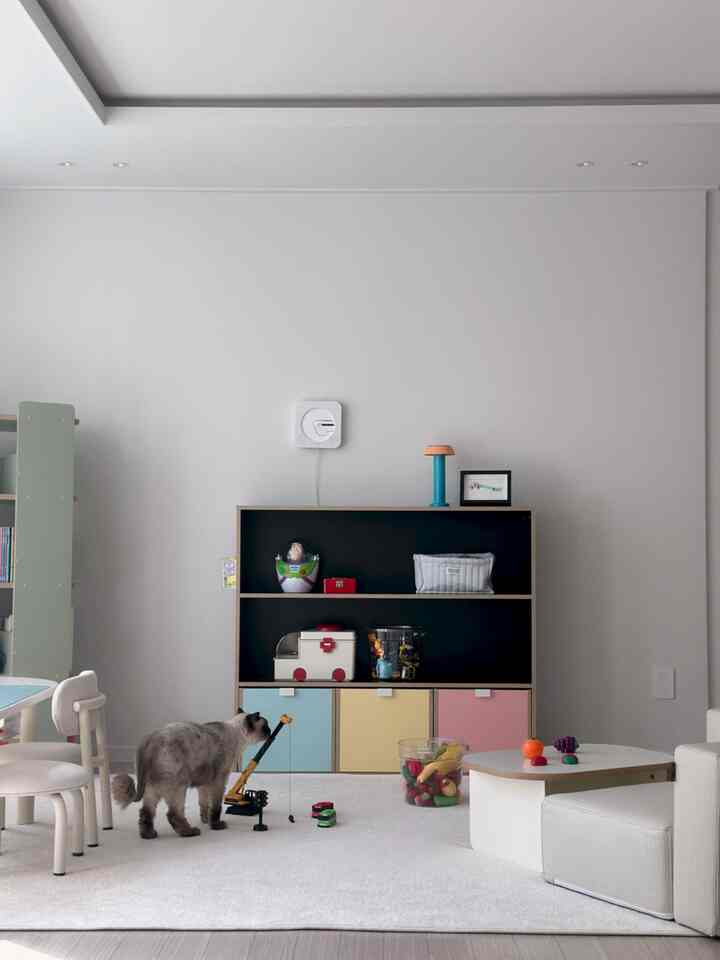 我が家唯一のアロクダロック🌈カラーポイント、
まさに子供リビングゾーン🤍 

子供がいるならば、それだけ受け入れてください。
できるだけ隠すことは精神的なストレスを受けません😂
それでも時々、この原色の緑色
ポイントにもなったんですよ😌


＃コーンスープ記録集 