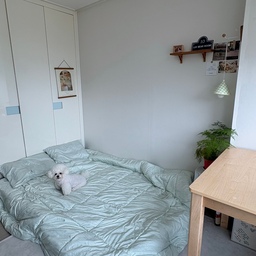 #오늘의우리집
서재방에서 게스트룸으로🏠
집에 손님이 놀러와서 하룻밤 자고 가게 되었어요!
서재방 조금 정리하고 매트리스 깔아서 게스트룸으로 
바꿨는데 아늑☁️🤍
#게스트룸 #매트리스커버 #신혼집인테리어 
#서재꾸미기 #서재방 #손님방 