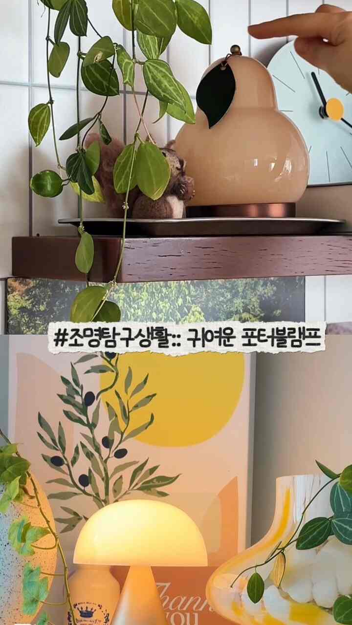 #照明探検 
かわいいデザインにムードまで加えるポータブルランプ💡

キノコのシルエットが魅力的なレクソンミナ照明 
どこに載せても感性のあるスプーンを加え、
ルミール果実照明は、ほのかに広がる暖かい光のおかげで、夜ごとにどんどんつけてくる雰囲気のテムですよ🍐

充電式なので、コンセントの位置を気にしないでください。
寝室、リビングルーム、棚の上のどこでも 
軽く移しておくのが好きで活用度まで満足！

日中はオブジェのように、夜はムードなどのように
一日の雰囲気をふんだんに変える 
私の最近の最愛の照明です💡


＃照明探求生活＃ポータブルランプ＃レクソンミナ照明＃ルミール照明＃実照明＃ムードライトおすすめ＃感性インテリア＃家の装飾＃ホームデコ＃インテリア小道具＃無線照明＃感性照明
＃今日のガーデン＃お祝い歓迎 