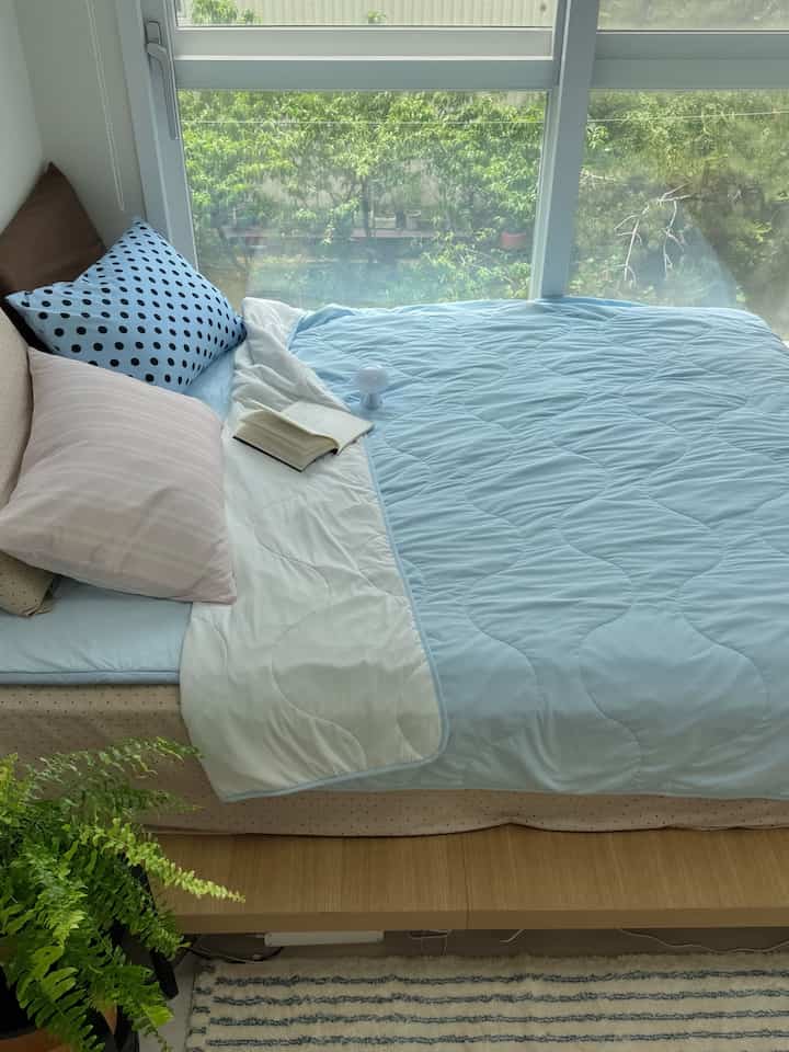 今冷たい布団がなければ眠れない天気ですね🥺
先週末には夏のお祝いカラーに気分転換しました！
スカイカラー寝具は初めてですがどうでしょうか？ 🩵



＃今日の家＃家の家＃ラン選挙の家＃家の贈り物＃小さな部屋の装飾＃小さな家の装飾＃ワンルームのインテリア＃ツルームのインテリア＃オフィスステルの装飾＃原木家具＃ホームスタイリング＃冷感マット＃低床型ベッドフレーム＃低床型ベッド＃コンスープ記録集 