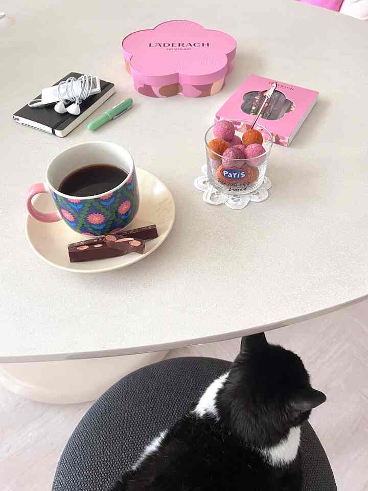  #기록 #고양이 #예쁜집인테리어 #거실인테리어 #식탁인테리어 #디저트접시 #세임디 #디저트볼 #플레이팅 