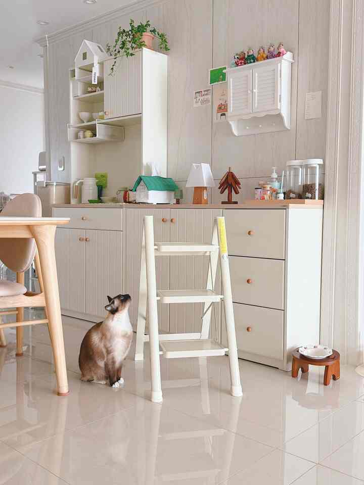 猫が住んでいる家
折り畳み式はしごもキャットタワーになってしまう。 😆💕


＃コンスープ記録集 
＃四季の日記＃日常＃執事日常＃日常記録
#コンスープ記録
＃今日の庭＃猫＃かわいい猫
＃はしご＃折りたたみ式はしご＃工具＃DIY
＃おすすめアイテム＃リッパー製品＃ホワイトウッド＃ウォームトンインテリア
＃猫の家＃猫の家の家＃キッチン
#ftc10話