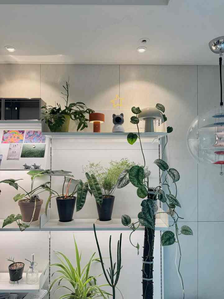 #오감리뷰 プログラムを通じて製品を提供され、直接使用してスタイリングした後期です。

私はすぐに生まれた赤ちゃんのために多くのホームカメラを探しました。
写真のようにすでにヘイホームのエッグproも持っています。 
Pro + 5mpは確かにより鮮明で、特に良いのはカメラが360度回転してほぼリビング全体を見ることができるということです。 
片方だけ固定の製品は死角地帯がありましたが、これは手軽に調節して見ることができてとても良いですね。
低い場所でも高い場所でも死角なし
アプリで簡単に回転させて見ることができると思います。

インストールも難しくなく、アプリの接続もすぐに終わりました。 
赤ちゃんが生まれてほとんどついていますが、外出しても
リアルタイムで確認可能なので、しばらく外出しても心がはるかに楽になりそうです。 *

双方向音声もテストしてみましたが、音もとてもよく出てきました。
外でも話せるのが隠れて役に立つようです
コスパもとても良く、画質も良くて
跡や子育て、ペットカムをお探しの方にお勧めします。

。 ˖500万画素で画質鮮明
。 ˖360度回転可能で死角地帯ほとんどない
。 ˖夜間モードの自動切り替えで夜にもよく見える
。 ˖人の動き検出+通知機能あり
。 ˖双方向音声サポートと言える
。 ˖アプリで外部でもリアルタイムで確認可能
。 ˖軍事レベルのセキュリティ強調+プライベートモードをサポート   #육아템 #반려동물 #집꾸미기  #플랜테리어  #펫캠 