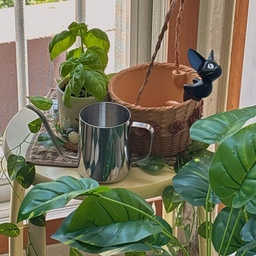 여름에 더 잘 어울리는 식물 공간…🌱
프로 식물 킬러지만, 아이러니라게 식물과 함께 사는걸 참으로도 좋아하는 저입니다…(푸릇푸릇러버)
그래도 키우기 쉽다 쉽다 하는 바질 친구를 들여와서 나름 잘 키우고 있는데요!
키운지 이제 한 몇 개월 된 것 같은데, 어느덧 저렇게 무럭무럭 자라고 있는 걸 보니 참으로 만족스럽습니다 😊
이제 다른 식물들도 들여오고 싶은데,
어떤걸 키워야 이 식물킬러도 잘 키워낼 수 있을까요…?
앞으로 식물들로 풍성해질 베란다를 기대해보며-
#오늘의집 #나다운공간 #ftc기록 #ftc24기 #ftc24기이야기 #지브리 #지브리인테리어 #지브리감성 #지브리덕후 #이웃집토토로 #마녀배달부키키 #플랜테리어 #식집사일기 #식물일기 #바질 