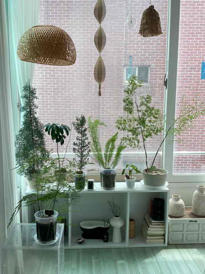 ＃今日の私たちの家＃コンスープ記録集1

セスンはとてもかわいいです🌿

真ん中に育っている＃ミリオクラドス
しっとりボドラ来て何度もなでます。

まだ可視性がなく、ボードラブのような明るい新年は本当に我慢できません🤭
ボドルボードル しっとり 触感遊びは止められません
気持ちいい中毒性最高🌱🫧
。
。
＃植物＃植民地時代＃プランテーション＃ガードニング＃ミリオクラドス＃アスパラガスナヌス 
