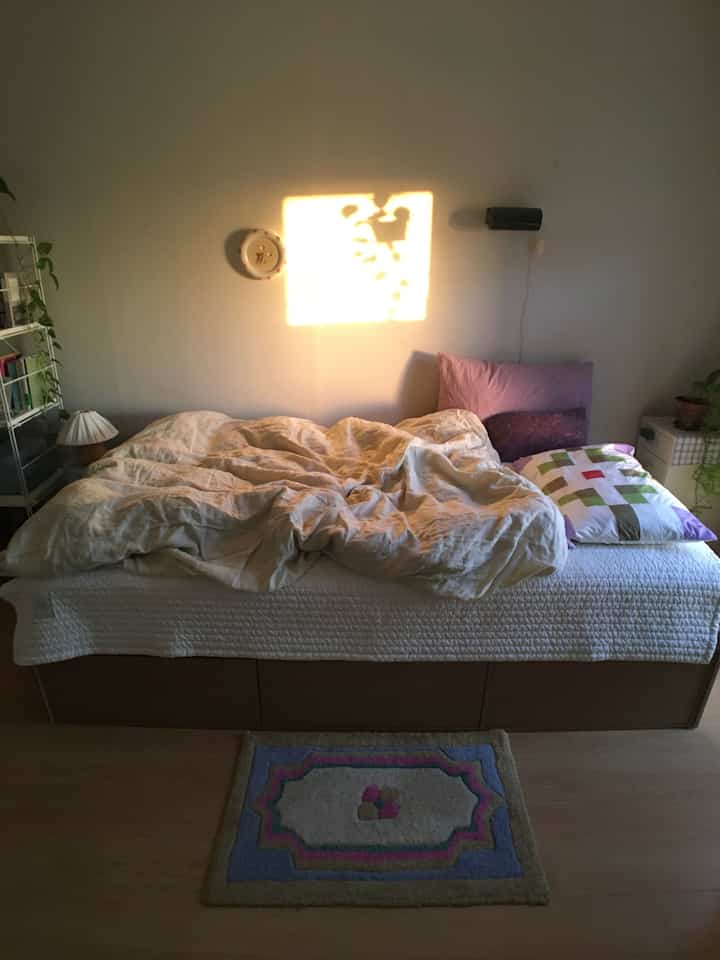 温かみのあるベージュ調のワンルーム寝室、リネンの寝具と2つの枕が置かれたシンプルなベッド、壁に夕焼けの光が映る雰囲気のあるインテリア