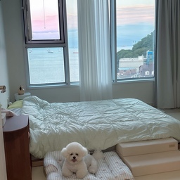 저희집 노을맛집입니다🧡💜
땡초가 왔다갔다 해야되서 집 안 모든 방문은
열어놓고 생활하고 있는데 안방은 반정도만 열어놓고 
있었어요. 그러다가 문득 날도 덥고 답답하기도 해서
그냥 다 열어 놓을까? 싶더라구요.
문을 다 열어두니 맞바람도 불고
개방감때문에 안방이 넓어보이는 효과도 있어서
왜 진작 안했나 싶어요🤔
#강아지키우는집 #오늘의우리집 #콘수프기록집 
#뷰좋은집 #신혼집꾸미기 #안방인테리어 #펫테리어 
#인테리어노하우 