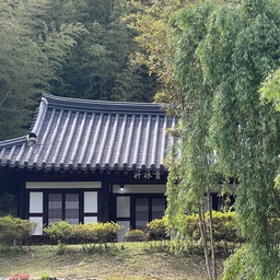#국내여행 #여행기록 #여행사진 #여행모음집 #담양 
푸릇푸릇했던 죽녹원🍀🌿🌱☘️🌳🌲🍏🥝💚