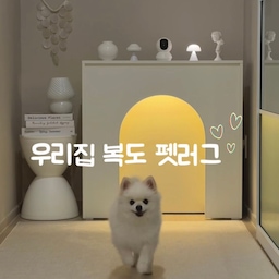 반려견 휴지의 우다다존인 우리집 복도 🏡
바닥이 미끄러워 뛰다가 다치지 않을까 항상
걱정이었는데, 데이드리머 에어핏 펫러그를 깔아주니
미끄럼방지도 되고 슬개골 보호에 맞춰 최적화된 
탄탄한 쿠션감을 자랑해 안심하며 사용하고 있어요. 
복도에는 런웨이 사이즈가 딱이었고, 복도 뿐만 아니라 
침실이나 주방 등 어디에 두어도 잘 어울려서 만족스러운
현명한 소비템이랍니다. 논슬립마감으로 바닥에 단단히 고정되어 밀림도 없고 평소에는 물티슈와 돌돌이로 가볍게 오염 제거가 가능하며 세탁기 이용도 가능해 관리방법도 편한 펫러그 추천드릴게요~ 🐶🤎
#데이드리머 #펫러그 #펫러그추천 #강아지러그
#펫테리어 #강아지와사는집 #복도인테리어 #맞팔
#현명한소비 #콘수프기록집 #강아지러그추천 