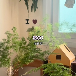 구축 8.5평 투룸 자취방 인테리어 ⋆ ˚｡ 🪑
나의 자취 행복, 자취 낭만으로 가득 채운 하루 ..𓂃 𓈒𓏸 ☀︎
#콘수프기록 #맞팔 #자취 #자취방 #자취꿀템 #자취방인테리어 #자취방꾸미기 #자취생 #자취인테리어 #자취필수템 #구축인테리어 #구축빌라 #투룸 #투룸인테리어 #투룸꾸미기 #투룸침실 #투룸빌라 #투룸자취방 #맞팔환영 #8평 #8평인테리어 #콘수프기록집 #오늘의우리집  