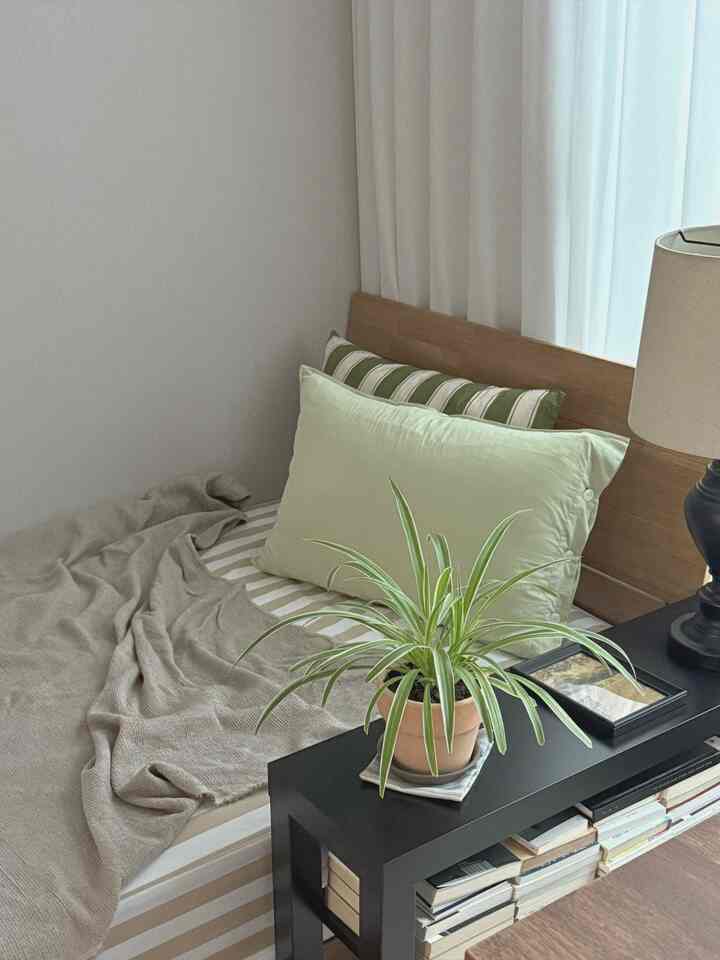 ＃一緒に住んでいる家

ゲストルーム本格的に飾ってください🛏️
低床型ベッドフレームを持ち上げたところ、ニャンニクが一番好きな現実 
フレームの明るいウッドトーンが既存の家具やラグ、寝具によく合って満足しています💚🤎 


＃ゲストルームの装飾＃ゲストルームのスタイリング＃ゲストルームのインテリア＃小さな部屋のスタイリング＃小さな部屋のインテリア＃小さい部屋のインテリア 