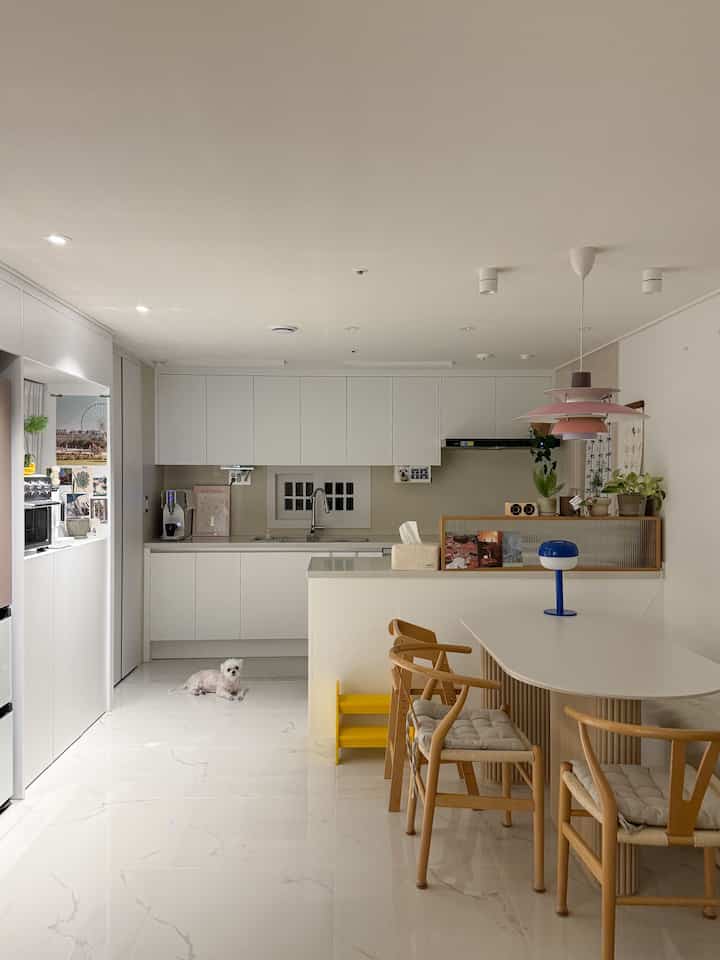 我が家のキッチン夜の風景🌙
雰囲気はカフェなのに！
片側でおやつデモ中の子犬が座っていますね...🐶👀

＃キッチン＃キッチンインテリア＃キッチン＃家のスタイル＃家の装飾＃ホームスタグラム＃主婦の日常＃子犬＃マルチーズ＃子犬と一緒に住んでいる家＃子供の家＃子育て日常＃育成＃今日の家＃キッチン飾り＃ホワイトキッチン＃キッチンリモコン＃コンスープ記録集＃今日の私たちの家＃一緒に住んでいる家＃キッチンウィンドウ  