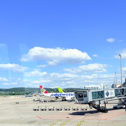 📍기차 타고 공항 도착 — 4시간
📍비행기는 3번 경유 — 14시간 🥵
       ( 스위스 ➡️ 코펜하겐 ➡️ 베이징 ➡️ 인천공항 )
📍마지막으로 공항버스 타고 집까지 — 1시간 반
드디어 집 도착…!
캐리어보다 먼저 풀린 건 제 정신이었고요…🫠
집 오자마자 치킨 + 엽떡 + 나는 솔로 조합으로
한국인의 영혼을 긴급 충전했습니다 🍗🔥📺
한입 먹는 순간,
“아… 내가 돌아왔구나…” 싶더라고요.
스위스도 아름다웠지만
역시 내 침대와 엽떡 앞에서는 살짝 밀리는 걸로…🤭
먹고 나서는 그대로 기절했더니 
하루가 사라졌어요...
이번 장거리 여행으로 깨달은 건
여행은 낭만이기도 하지만, 체력전이더라고요.
“여행은 가슴이 떨릴 때 가야지
다리가 떨릴 때 가면 고생한다”는 말…
이번에 온몸으로 이해했습니다 😅✈️
#여행기록 #콘수프기록집 #스위스 #이탈리아 #여행
#여독이안풀려요 #부지런히답방갑니다
