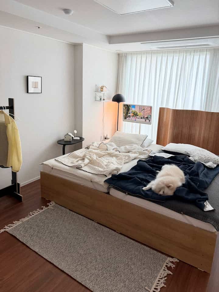 羽毛布団に鼻を入れて眠る私たちのダニ

二重モラは暑いですが、今回は
布団が好きだったかとても好きです:-) #깃든   #침실러그