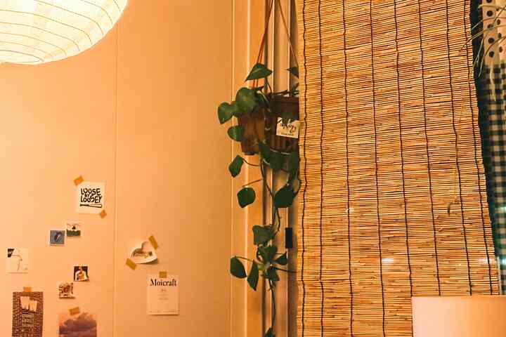 いくつかの植物と一緒に過ごしています。

7坪余りの1.5ルームに住んでいるが、
家の中には約20の植物があります。

湿度が好きな植物
毎日スプレーで水を噴射してくれて管理しています。

小さな空間ですが、植物のおかげで
家のあちこちで生命力が感じられていいです。

スペースだけ少し広いなら、
今より多くの植物と一緒にしたいですね。 


＃一緒に住んでいる家＃ftc24 
＃フランテリア＃原木インテリア＃暖かい家 
＃照明インテリア＃ファブリック＃植物と一緒に 
＃今日の家＃狭い家のインテリア 