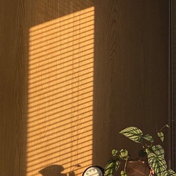 집에 있는 시간이 좋아서, 결국 책까지 
#기록일상 #오늘의우리집
집에 있는 시간이 제일 편한 사람, 퇴사 후 자연스럽게 집을 돌아보게 되었어요.
크게 바꾸진 않았지만
작은 것들이 하나씩 바뀌고 나니 어느 순간부터 집도 집에 있는 나의 시간도 더 좋아졌습니다.
햇살 들어오는 시간, 가만히 앉아 있는 순간, 아무것도 하지 않아도 괜찮은 하루들
그렇게 쌓인 시간들을 그냥 흘려보내기 아쉬워서 하나씩 기록하기 시작했고 결국 한 권의 책으로까지 이어졌어요.
<집순이의 사적인 방구석 편집숍>이라는 작은 에세이.
특별한 이야기는 아니지만 집에서 보내는 시간이 좋은 분들이라면 조용히 공감하실 수 있을 거예요 :)
#일상 #기록 #오늘의집 #집순이 #에세이 #방구석편집숍 #취향 #공감 #책 #집꾸미기 
#전자책 은 #예스24 #유페이퍼 에서 만날 수 있어요👋🏻