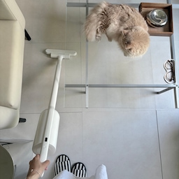 고양이 두 마리와 함께 살다 보니 청소가 중요해요.
거실 한 바퀴, 소파 아래, 스크래처 주변까지 둘러봐야 비로소 하루가 시작되는 기분이 드는데요.
큰 청소기를 꺼내고 정리하는 과정이 번거로워 결국 눈에 보이는 털만 치우고 지나가는 날이 많았어요. 그래서 요즘은 거실 한쪽에 항상 꺼내두고 바로 사용하는 #모온오비큠  Pro 무선청소기를 가장 자주 사용하고 있습니다.
모온은 일상 속 불편함을 편리하게 바꾸는 생활가전을 만드는 브랜드인데, 오비큠 Pro는 디자인과 사용성을 모두 신경 쓴 제품이라는 점이 인상적이었어요. 화이트 컬러와 미니멀한 디자인이라 거실에 세워두어도 인테리어를 해치지 않아 자연스럽게 생활 공간에 어우러져요.
특히 1.1kg의 가벼운 무게라 손목 부담이 적고, 자유롭게 움직이는 프리 무빙 휠 덕분에 소파 아래나 테이블 밑처럼 자주 청소하는 공간도 부드럽게 움직여 편했어요. 고양이와 함께 살면 하루에도 몇 번씩 청소기를 들게 되는데, 가볍다는 게 생각보다 큰 장점이에요.
털이 많이 모인 스크래처 주변이나 러그 근처는 MAX 모드로 사용해봤는데, 버튼을 2초 정도 눌러 설정할 수 있고 강한 흡입력으로 깊숙한 먼지와 털까지 깔끔하게 정리되는 느낌이었어요. 스마트 디스플레이로 배터리와 작동 상태를 바로 확인할 수 있는 점도 사용하면서 편리했습니다.
최대 60분 사용 가능한 배터리와 H13 헤파필터까지 적용돼 있어 반려동물과 함께 사는 집에서도 안심하고 사용할 수 있었고, 국내 생산 제품이라 AS 부담이 적다는 점도 만족스러웠어요.
청소를 좋아하는 편은 아니지만, 털이 보일 때마다 바로 집어 들 수 있고 집 분위기까지 해치지 않으니 자연스럽게 손이 자주 가게 되는 것 같아요. 고양이와 함께 사는 집, 자주 청소해야 하는 집이라면 생활 루틴을 조금 더 편하게 만들어주는 #무선청소기 였습니다.
#모온 #오비큠 #오비큠프로 #청소기추천 #집들이선물 #결혼선물 