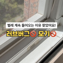 #콘수프필름 #콘수프기록집 #오늘의우리집 벌레공포증 있는 사람 저요🙋🏻‍♀️
저 진짜 벌레 나오면 집 버리고 나갈 정도로 벌레를 너무 무서워해요🥲
그래서 이사 오자마자 창문 틈새란 틈새는 다 막았다고 생각했는데도 작은 날벌레가 계속 보이더라고요.
결국 기존에 붙여놨던 것들을 전부 뜯어내고 처음부터 다시 작업했어요.
방충망 물구멍부터 샷시 틈, 풍지판까지 정말 작정하고 하나하나 다시 막았는데 지금 3주째.
창틀에 늘 보이던 작은 날벌레 사체도 한 마리 안 보여요🥹
이번에 다시 작업하면서 보니까 생각보다 놓치기 쉬운 틈이 정말 많더라고요.
영상이 너무 길어져서 다음 영상에서 다시 보여드릴께요👀
혹시 벌레 때문에 스트레스 받는 분들 계신가요?🥲
#벌레퇴치 #벌레차단 #집에서제일바빠  #러브버그 #모기 #방충망 #창문 #창문틈새 #샷시 #풍지판 #셀프집수리 #집꾸미기 #리빙팁 #살림팁 #생활꿀팁 #자취 #자취꿀팁 #인테리어 #홈스타일링 #셀프인테리어 #살림템 #모기퇴치 #오늘장면한컷 #자취력상승템 #자취템 #자취인테리어 #자취꿀템