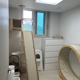 알파룸에 만든 우리집 애기들방!:)
집이 생긴다면 꼭 해주고 싶었던 
고양이들만의 방! 아이들이 먹고 싸고 노는 
공간을 별도로 마련했어요:)
물론 거실에도 아이들 짐이 있지만 
아이들 공간을 만들어 줌으로써 손님이오면
본인들 방으로 쏙 들어가서 편하게 있기도 하고 
큰 짐들이 밖에 없어 좁은 집에도 굿!
집사이즈가 늘어나면서 식탁 아일랜드 소파등을
타고 오르락 내리락 사용해주면서 
자기들 방도 잘 사용해주어 너무 고맙습니다:)
#오늘의우리집 #고양이 #고양이가사는집 #고양이방 #캣타워 #반려동물 #두잇 #가또블랑코 #집사의반격 #캣휠 #냥템 #냥테리어 #귀여운게최고야 #20평대 #20평대아파트 #알파룸 #신혼집 #신혼집인테리어 #신혼부부 #신축아파트 #신축 #작은집
