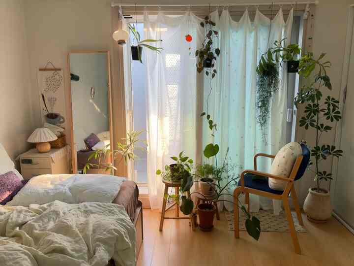 ナチュラルな木目調と白いカーテンが調和したワンルームの寝室、植物が多く配置された雰囲気のある空間