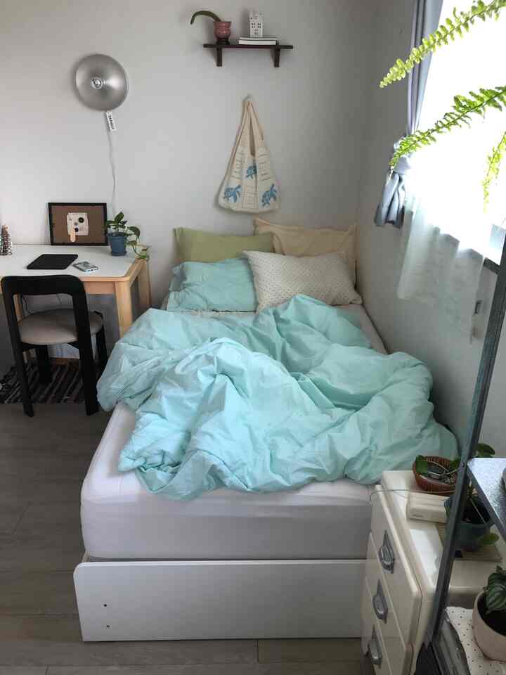 白い壁と木目調家具のあるワンルーム寝室、パステルブルーの寝具と植物が配置された雰囲気のある空間