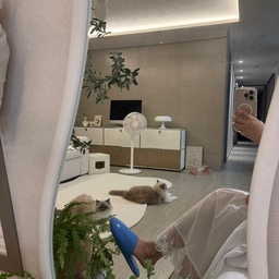 #예쁜템최고야 #콘수프기록집 
홈스타일링의 완성은 어쩌면 가장 작은 소품에서 시작되는지도 몰라요.
요즘 저희 집 거실 무드에 잔잔한 생기를 불어넣어 준 
코토나 룸슈즈 매트블루
웜톤의 따스한 공간 사이에서 
맑은 매트블루 컬러가 세련된 중심을 잡아주네요 🛋️💙
튀는 포인트보다 은은하게 스며드는 감성을 좋아하시는 분들께 꼭 추천하고 싶은 아이템이에요.
면 100% 소재여서 너무 보들보들하고
폭신하고 타 제품에 비해 바닥이 도톰해서
층간 소음도 방지되서 넘 좋았어요!!! 
(저 260 왕발인데 사이즈 선택할 수 있어서 너무 좋았어요) 
#층간소음슬리퍼 #코토나 #룸슈즈 #집들이선물 #여름실내화
#이사선물 #신혼집선물 #논슬립 #플랜테리어 #화분 #고양이가있는집 #컬러포인트 #블루포인트 #거실꾸미기 
#2만원대선물 #선물추천 #패브릭소품 #거실인테리어 #거실꾸미기 #실링팬 #루씨에어 #usm티비장 
