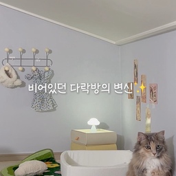 다락방 한쪽 공간을 고양이방으로 꾸며봤어요🐱
캣타워 대신 아늑한 침대를 배치하고,
수납장/벽걸이까지 더해 고양이전용 공간으로 완성
미미자매도 마음에 드는지 한참을
구경하더라구요🥹
📌 사용한 제품
홈인버터 - 미니서랍 M사이즈 화이트/옐로우
홈인버터 - 미니행거 8구 화이트
모우스튜디오 - 시어서커냥범퍼박스
다이소 - 구름무드등
#모우스튜디오 #고양이방 #다락방 #고양이방꾸미기 #다락방인테리어 #다락방꾸미기 #고양이가있는집 #고양이인테리어 #코타츠 #좌식의자 #엽서 #무드등 #수납장 #벽걸이 #코트랙 #러그 #복층인테리어