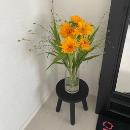 #콘수프기록집 #오늘의우리집 
주말에 남대문갔다가 사온 꽃들이 여기 저기 있으니 집이 더 싱그러운 느낌이에요🤭
테디베어해바라기 색이 쨍해 시선강탈이네요🌻💛
#테디베어해바라기 #꽃 #꽃병 #꽃인테리어 #꽃이있는집 #꽃테리어 #꽃병인테리어 #꽃일상 #남대문시장 #맞팔 #맞팔환영 #맞팔해요 #맞팔선팔 #소통 #소통해요