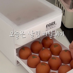 #콘수프기록집 #살림살이
오늘은 살림 리필데이💛
여름철 쌀은 소포장으로 구매해서 냉장 보관하고 있어요 
저는 엘지 키친핏 냉장고여서 2.5kg 사용했어요 
야채칸에 두고 바로 퍼서 사용해요 
커피캡슐, 파스타면, 차 티백은 사각 캐니스터에 보관하는데 밀폐도 잘되고 적층도 가능해서 잘 쓰고 있어요 ㅎㅎ
아침마다 삶은 계란을 먹어서 항상 넉넉하게 사두는 편이에요
여러 제품 써봤지만 개인적으로 안전걸림 장치가 있어서 
서랍이 쑥 안빠지는게 좋았어요 
캔음료는 디스펜서를 사용 중인데 
하나 꺼내면 자동으로 앞으로 밀려 나와서 정리할 필요가 없어요
폭 조절이 가능해서 작은 캔부터 큰 캔까지 다양하게 사용할 수 있어서 좋아요!
#계란보관함 #계란보관 #에그트레이 #계란트레이 #냉장고정리템 #쌀통 #쌀통추천 #음료디스펜서 #냉장고정리용기 #냉장고정리팁 