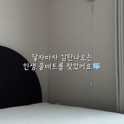 #침실스타일링 본격 장마철 시작되면서 침실 패드도 쿨매트로 싹 바꿨어요! 🌧️🧊
아이들 방은 진즉 시원하게 패드 교체해 줬었는데,
정작 제 침실은 미루고 미루다 드디어 노르딕슬립 쿨매트로 정착 완료 🛌
와.. 근데 이거 눕자마자 살에 닿는 느낌이 진짜 차원이 다르게 시원해요!
자체 개발한 특수 냉감 원단이라 그런지 에어컨 살짝 틀고 누우면 여기가 바로 극락..🫠
#침실 #침실인테리어 #침대 #침대인테리어 #블랙 #블랙침대 #블랙침대프레임 #블랙침실 #망고졔욱 #맞팔 #쿨매트 #쿨매트추천 #여름침구 #여름침실 #여름필수템 #탄귀 #탄귀조명 #탄귀서울 #블랙인테리어 #패브릭침대 #패브릳침대프레임 #조명추천
