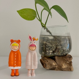 식물 3개로 완성한 우리 집 플랜테리어 🌿
인테리어를 하다 보면 ‘플랜테리어’라는 말을 많이 듣게 되는데, 저도 식물 세 가지를 활용해 집 곳곳에 포인트를 주고 있어요 𓂃꙳⋆
식물을 잘 키우는 편은 아니라, 상대적으로 관리가 쉬운 식물들 위주로 선택해서 부담 없이 함께하고 있답니다 .ᐟ
🌱 첫 번째는 스킨답서스
신혼여행으로 발리에 갔을 때 기념으로 사 온 
나무 받침과 유리 화병에 돌과 물을 담아 
키우는 중이에요.
하얀 선반 위에 올려두니 싱그러운 포인트가 되고, 귀여운 피규어와 함께 두니 작은 오브제처럼 공간 분위기를 살려주더라고요 ⏦ﾟ♡︎
수경재배라 가끔 물만 채워주면 돼서 관리도 정말 편해요👍
🌿 두 번째는 스파티필름
수납장 위에 노출된 무선공유기를 자연스럽게 가려주는 역할을 하고 있어요 𓂂 𓈒♡ 
키우기 시작했을 때보다 잎이 훨씬 풍성해졌는데, 물이 필요하면 잎이 축 처져서 바로 신호를 보내주더라고요.
식물을 잘 못 키우는 저에게는 
물 줄 시기를 알려주니 오히려 키우기 편하더라구요ᯓ
🌳 세 번째는 홍콩야자
이 식물은 생각보다 손이 정말 적게 가요 .ᐟ
2주 이상 물을 주지 않아도 잘 자라는 편이라, 플랜테리어는 하고 싶지만 식물 관리가 부담스러운 분들에게 추천하고 싶은 식물이에요 ｡𖦹°‧
저는 주류를 보관하는 공간에 마샬 스피커와 함께 배치했는데, 우드 선반과 초록 식물의 조합이 정말 잘 어울리더라고요.
저만의 스타일링 팁은 식물을 공간마다 하나씩 포인트로 활용하는 것 ⋆｡˚ ❀      
큰 변화 없이도 집이 훨씬 생기 있어 보이고, 
작은 초록빛 하나만으로도 공간 분위기가 달라지는 걸 느끼고 있답니다🙌💚
#ftc25기 #플랜테리어 #거실인테리어 #선반인테리어 #식물추천 #홍콩야자 #스타피필름 #스킨답서스 #오브제추천 #식물인테리어