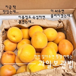 과일보관은 딱 이렇게 :)
#현명한소비 #콘수프기록집 #냠냠 #살구 #복숭아 #과일보관 #냉장고정리 #살림팁 #살림꿀팁 #맞팔 #초파리퇴치 #살림살이 
과일의 계절이 돌아왔어요.
저희집은 과일 사오면 전부 다 보냉가방에 넣어서 냉장고에 보관해요.
그러면 사왔을때 상태 그대로 일주일은 가요.
딸기, 복숭아, 살구, 수박,포도 를 이렇게 보관해봤는데 다 괜찮았어요.
오늘은 일주일 된 복숭아를 꺼내서 썰어줬더니
저희집 10살이 언제 사왔었냐고 못봤는데~ 라고 물어보더라구요.
오늘 사온 과일맛이 나나봐요🙂
이 방법을 쓰고 난 뒤로는 과일 많이 사와도 
벌레/곰팡이 걱정없이 보관할 수 있어서 너무 좋아요.