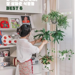 #오늘의우리집 #콘수프기록집
몇년째 초보 딱지를 못떼는 식집사에요.
그래도 저와 궁합이 잘맞는 식물들이 있는 것 같아요.
정말 부족한 식집사에게 와서 죽지 않고 잘 살아준 고마운 식물들 BEST 6 소개해요.
✔️ 비푸르카텀 박쥐란은 정말이지 너무 잘 자라서 저희집에 온지도 2년째, 정말 잘 자라서 너무 고마운 식물이에요.
그래서 이번에 두번째 아이도 또 데리고 왔어요.
✔️ 디시디아
물을 잘 못줘서 참 미안한데도 어찌나 잘 커주는지,
음지 양지 가릴 것 없이 정말 잘 커주고 있네요.
✔️ 나비란
물을 좋아하는 아이인데, 맨날 물 주는걸 까먹기도 하는데 기특하게도 너무 잘 견뎌줘요.
✔️ 핑크 싱고니움
물도 좋아하고 쑥쑥 자라는게 마구마구 보이는
기특한 식물이에요.
✔️ 큐피트페페
싱고니움처럼 쑥쑥 줄기가 마구마구 자라나요.
물 주는 양도 조절을 잘 못하는 식집사인데 듬뿍줘도 잘자라서 좋아요.
✔️ 트리고나 립살리스
진짜 물주는걸 매번 깜박하는데,
그런데도 불구하고 가끔은 비실비실한 꽃도 마구 펴요.
잘보면 다친곳도 많은데 그래도 물만주면 하늘로 쑥쑥 자라는게 보여요.
앞으로도 요 아이들은 쭈욱~~~~ 잘 키울 수 있을 것 같아요. 
#식물인테리어 #식물거치대 #식물스탠드 #식물선반 #스텐화분 #화분 #실내화분 #화분추천 #미니화분 #식물존 #식물화분 #화분인테리어 #식물선반추천 #나비란 #박쥐란 #식물행어 #맞팔 #맞팔환영 #소통 #식집사일상 #식물추천 #키우기쉬운식물추천 #키우기쉬운식물 #추천템 #추천아이템 #오늘의집크리에이터 #스페셜크리에이터 #오늘의집  